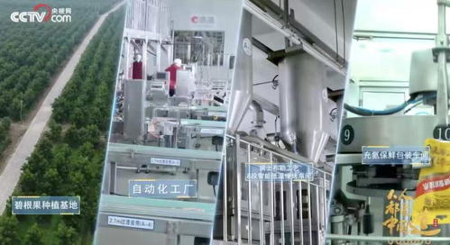 一季度營業(yè)總收入增長達36 ,洽洽食品迎來 開門紅